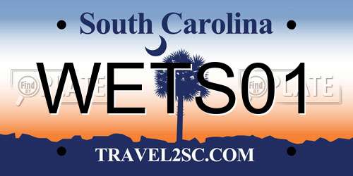 WETS01 South Carolina License Plate