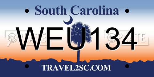 WEU134 South Carolina License Plate