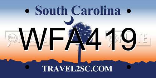WFA419 South Carolina License Plate