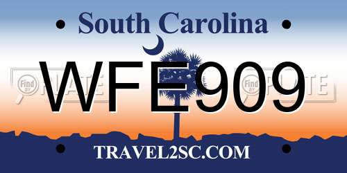WFE909 South Carolina License Plate