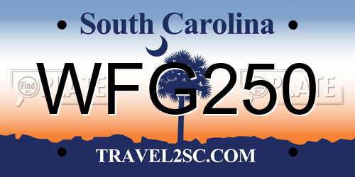 WFG250 South Carolina License Plate