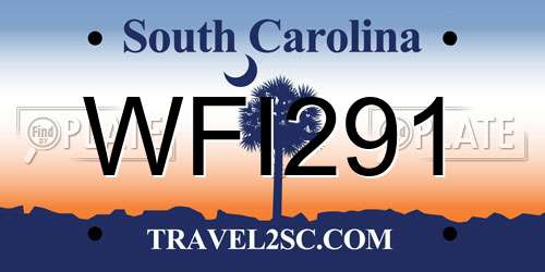 WFI291 South Carolina License Plate