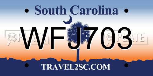 WFJ703 South Carolina License Plate