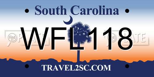 WFL118 South Carolina License Plate
