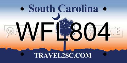 WFL804 South Carolina License Plate