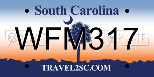 WFM317 South Carolina License Plate