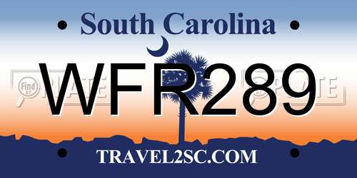 WFR289 South Carolina License Plate