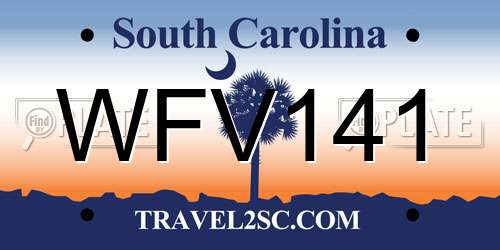 WFV141 South Carolina License Plate
