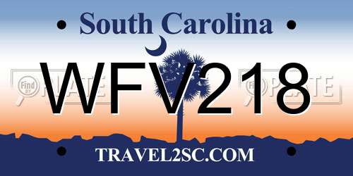 WFV218 South Carolina License Plate
