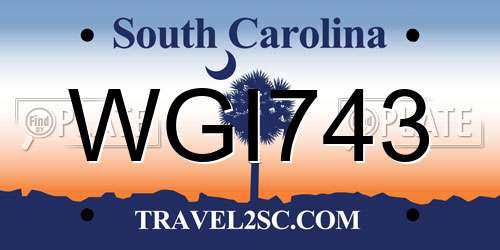 WGI743 South Carolina License Plate