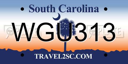 WGU313 South Carolina License Plate