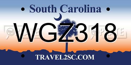 WGZ318 South Carolina License Plate