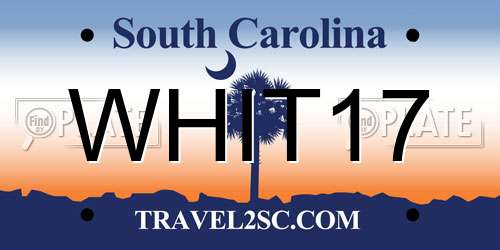 WHIT17 South Carolina License Plate