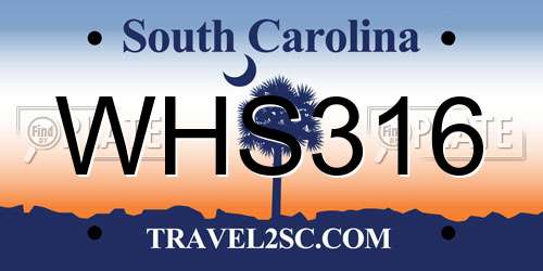 WHS316 South Carolina License Plate