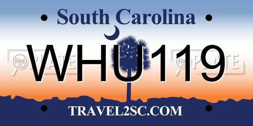 WHU119 South Carolina License Plate