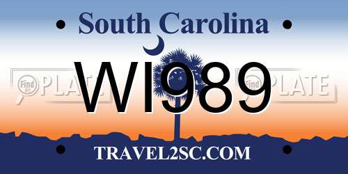 WI989 South Carolina License Plate