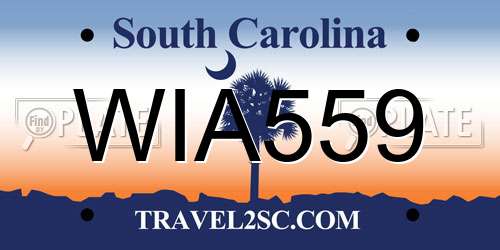 WIA559 South Carolina License Plate