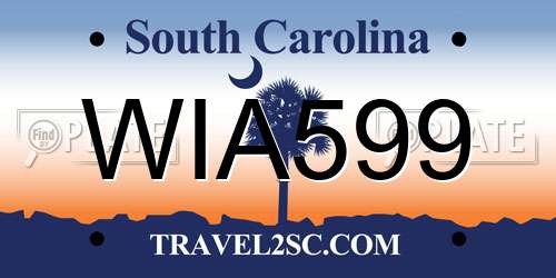 WIA599 South Carolina License Plate