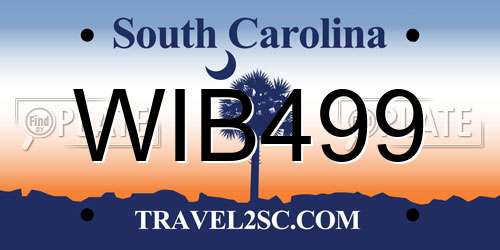 WIB499 South Carolina License Plate