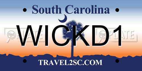 WICKD1 South Carolina License Plate