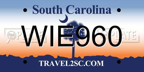 WIE960 South Carolina License Plate