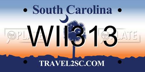 WII313 South Carolina License Plate