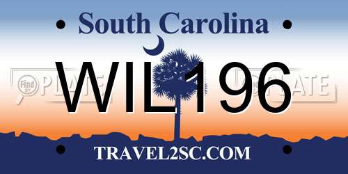 WIL196 South Carolina License Plate