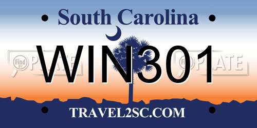 WIN301 South Carolina License Plate