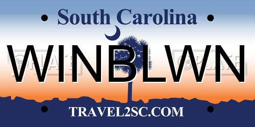 WINBLWN South Carolina License Plate