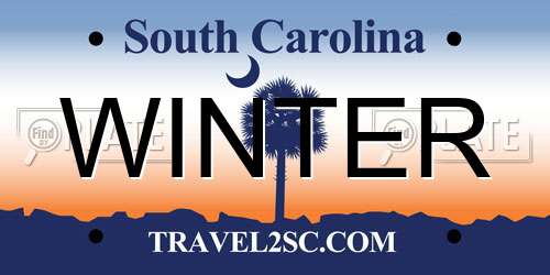 WINTER South Carolina License Plate