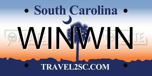 WINWIN South Carolina License Plate