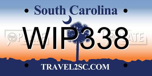 WIP338 South Carolina License Plate