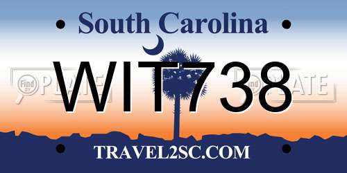 WIT738 South Carolina License Plate