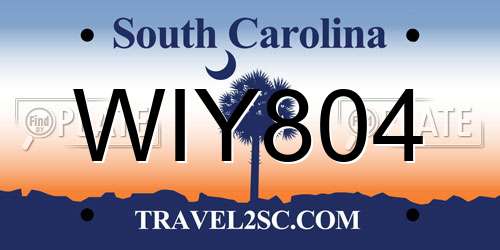 WIY804 South Carolina License Plate