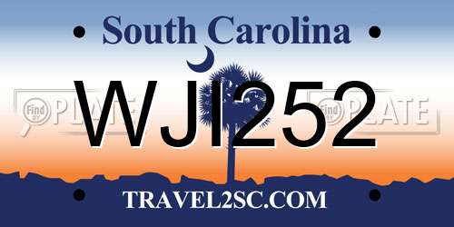 WJI252 South Carolina License Plate
