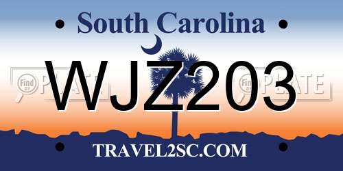 WJZ203 South Carolina License Plate