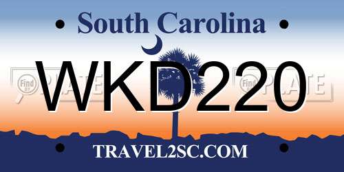 WKD220 South Carolina License Plate