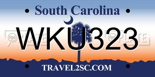 WKU323 South Carolina License Plate