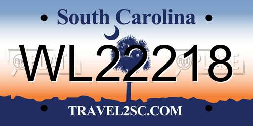 WL22218 South Carolina License Plate