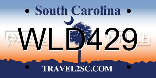 WLD429 South Carolina License Plate
