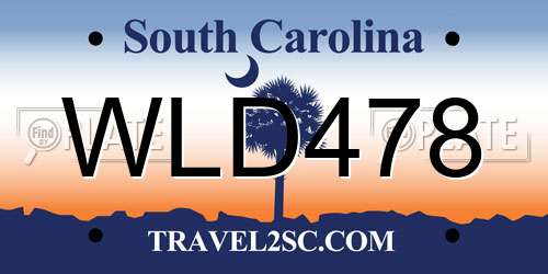 WLD478 South Carolina License Plate