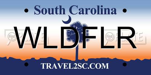 WLDFLR South Carolina License Plate