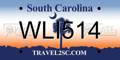 WLI514 South Carolina License Plate