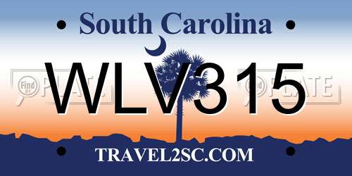 WLV315 South Carolina License Plate
