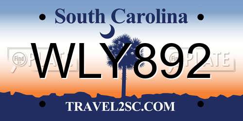 WLY892 South Carolina License Plate