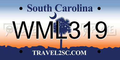 WML319 South Carolina License Plate