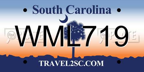 WML719 South Carolina License Plate