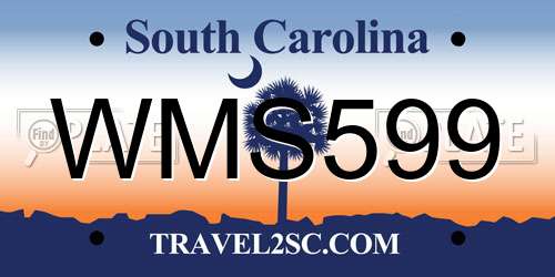 WMS599 South Carolina License Plate