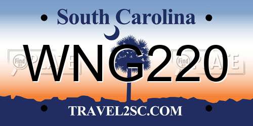 WNG220 South Carolina License Plate