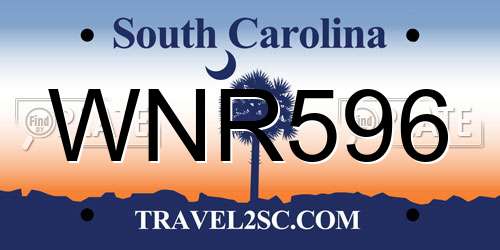 WNR596 South Carolina License Plate
